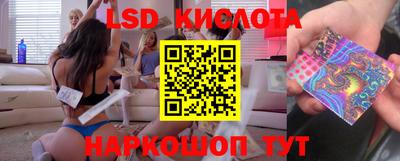 шишки Кимры