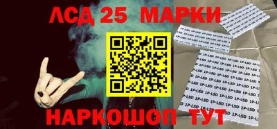 шишки Кимры