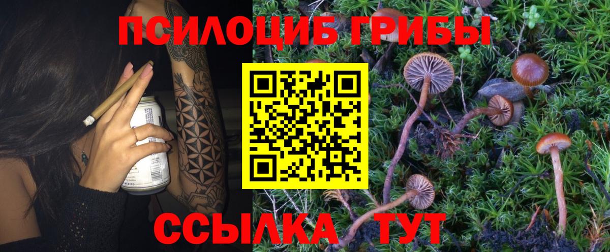 Галлюциногенные грибы мицелий  Вход с VPN  Королёв 