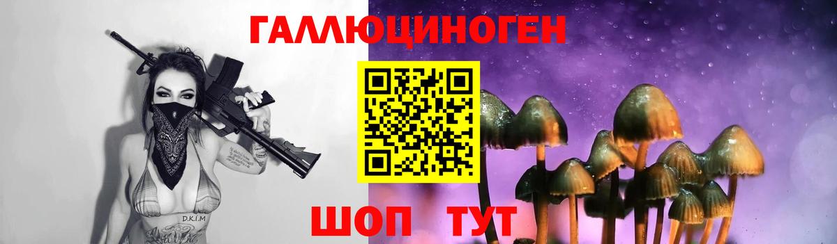 Галлюциногенные грибы Cubensis Королёв